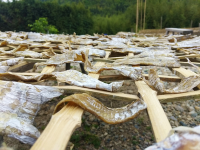 酃峰云雾竹笋干